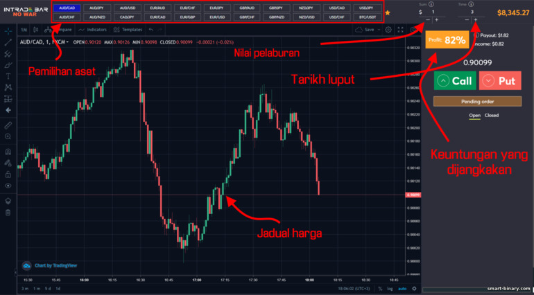 Bagaimana pilihan binari berfungsi