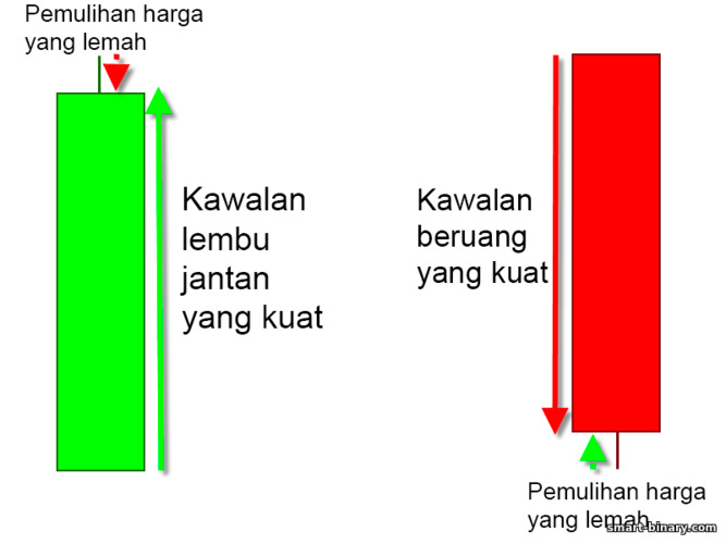 kawalan yang kuat terhadap beruang dan lembu jantan