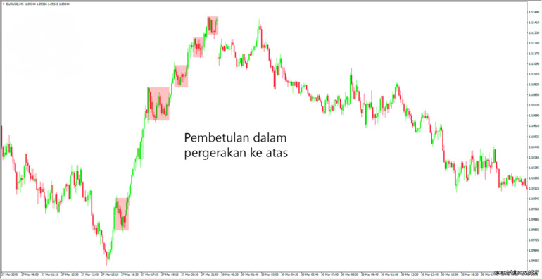 penarikan balik arah aliran balas