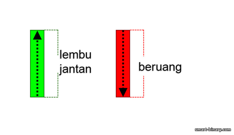 lembu jantan dan menanggung batang lilin Jepun