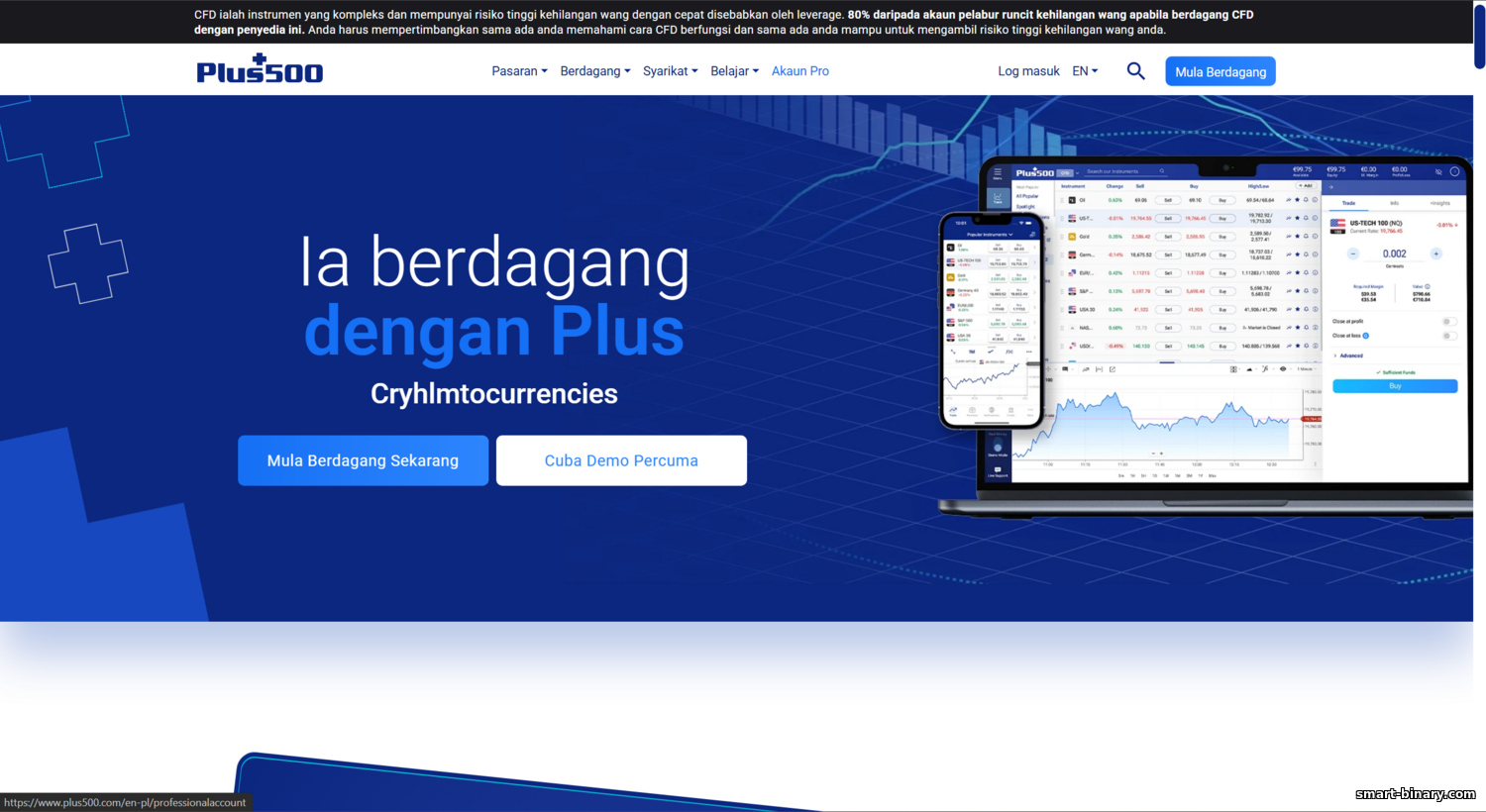 https://smart-binary.com/_nw/3/50491313.png