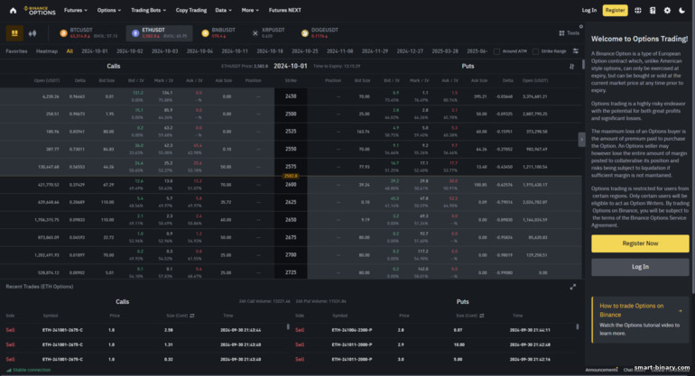 Gambaran Umum Opsi Binance