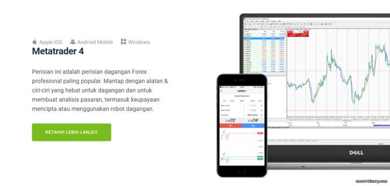 Forex4you MetaTrader 4 (MT4) Forex4you MetaTrader 4 (MT4)
